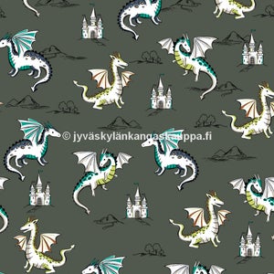 Joustocollege Dragon