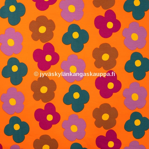 Harjattu Joustocollege Orange Daisy