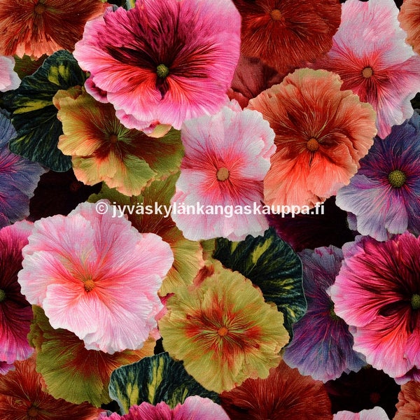 Harjattu Joustocollege Malva Kukat