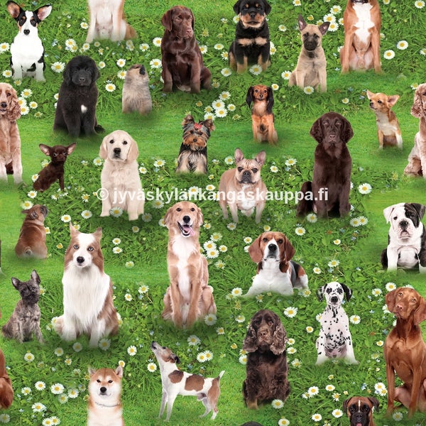 Digiprintti trikoo Koirat