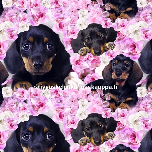 Digiprintti trikoo M&auml;yr&auml;koirat