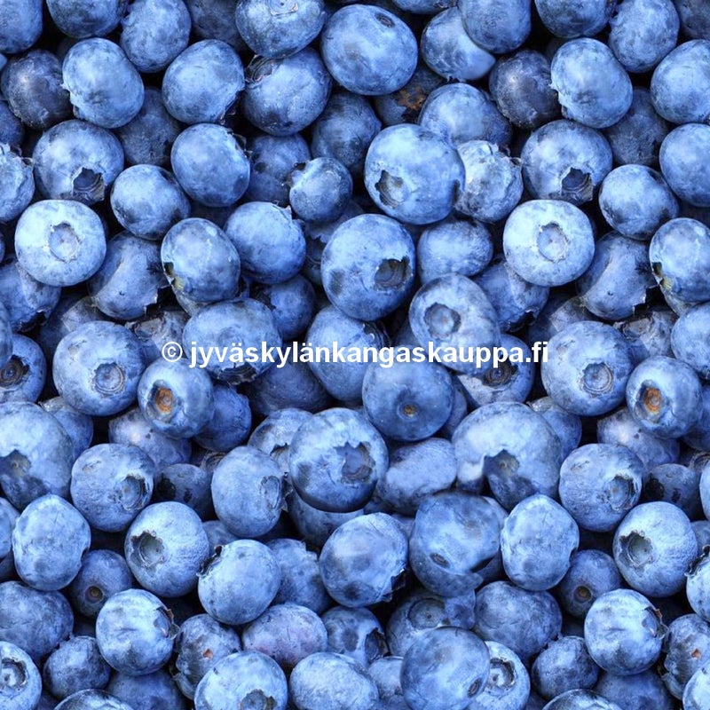 Digiprintti trikoo Blueberry