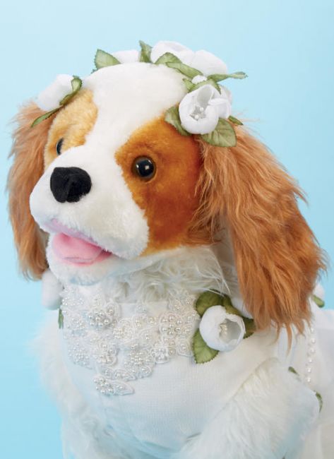 McCALL&acute;s kaava M7850 Pet Clothes