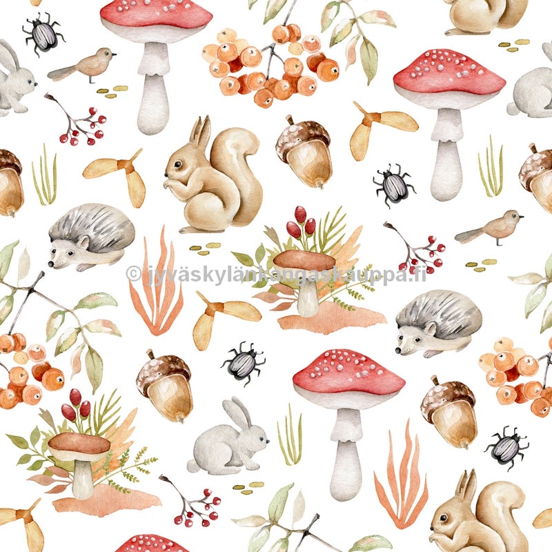 PUL kangas syksyiset mets&auml;nel&auml;imet